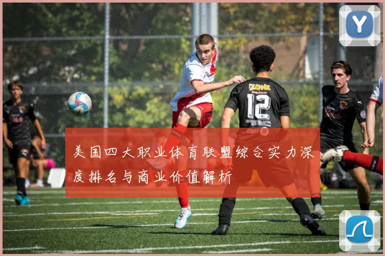 美国四大职业体育联盟综合实力深度排名与商业价值解析