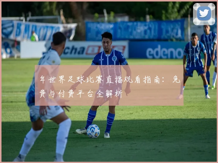 年世界足球比赛直播观看指南：免费与付费平台全解析
